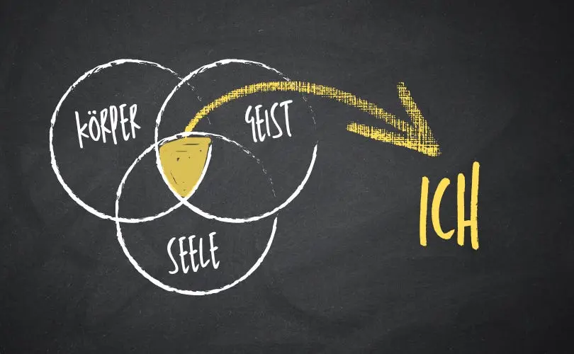 Cover image for Die Gesundheit