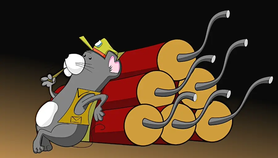 Cover image for Im Gefühl des Sieges